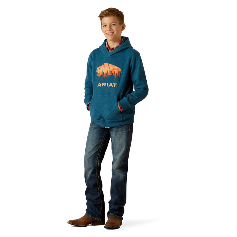 Ariat Boys Bison Plains Hoodie in Hydra Heather