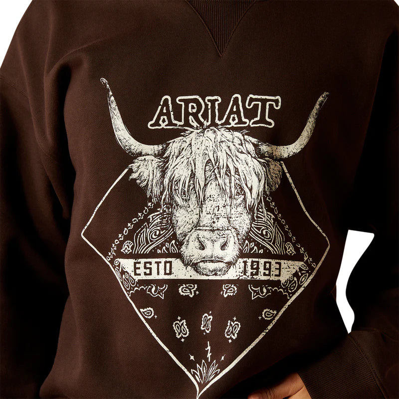 Ariat Womens Taurus Oversized Crew Sweatshirt in Mole
