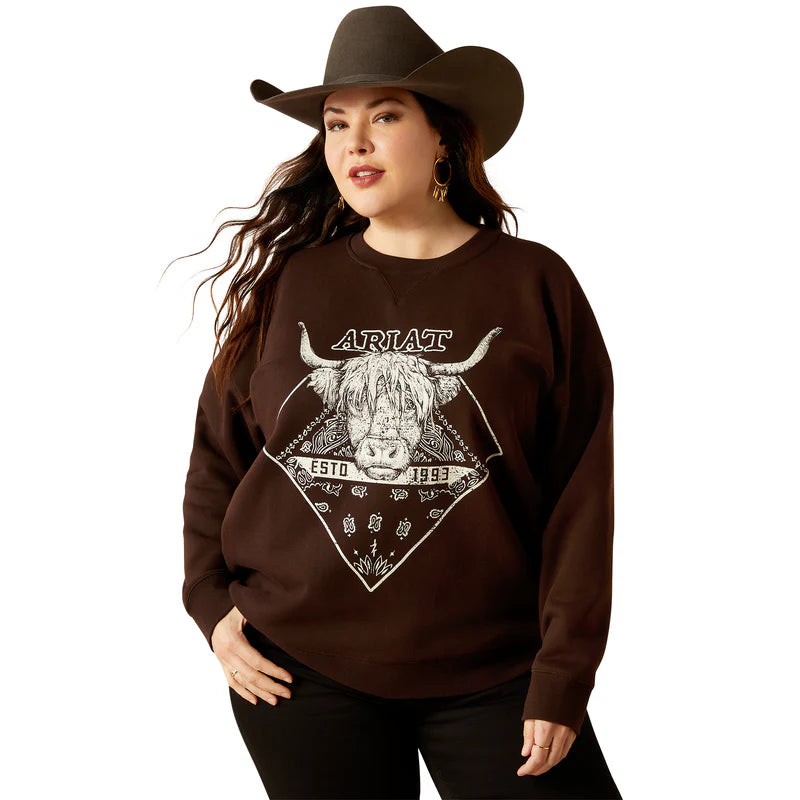 Ariat Womens Taurus Oversized Crew Sweatshirt in Mole