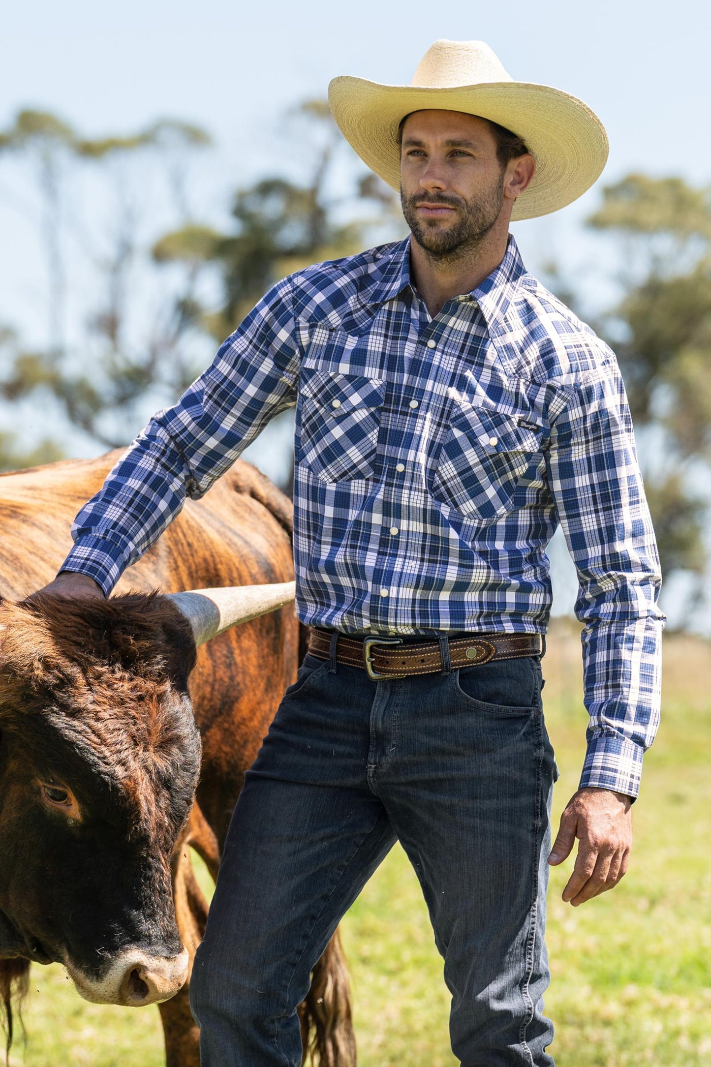 Wrangler Mens Hogan Belt
