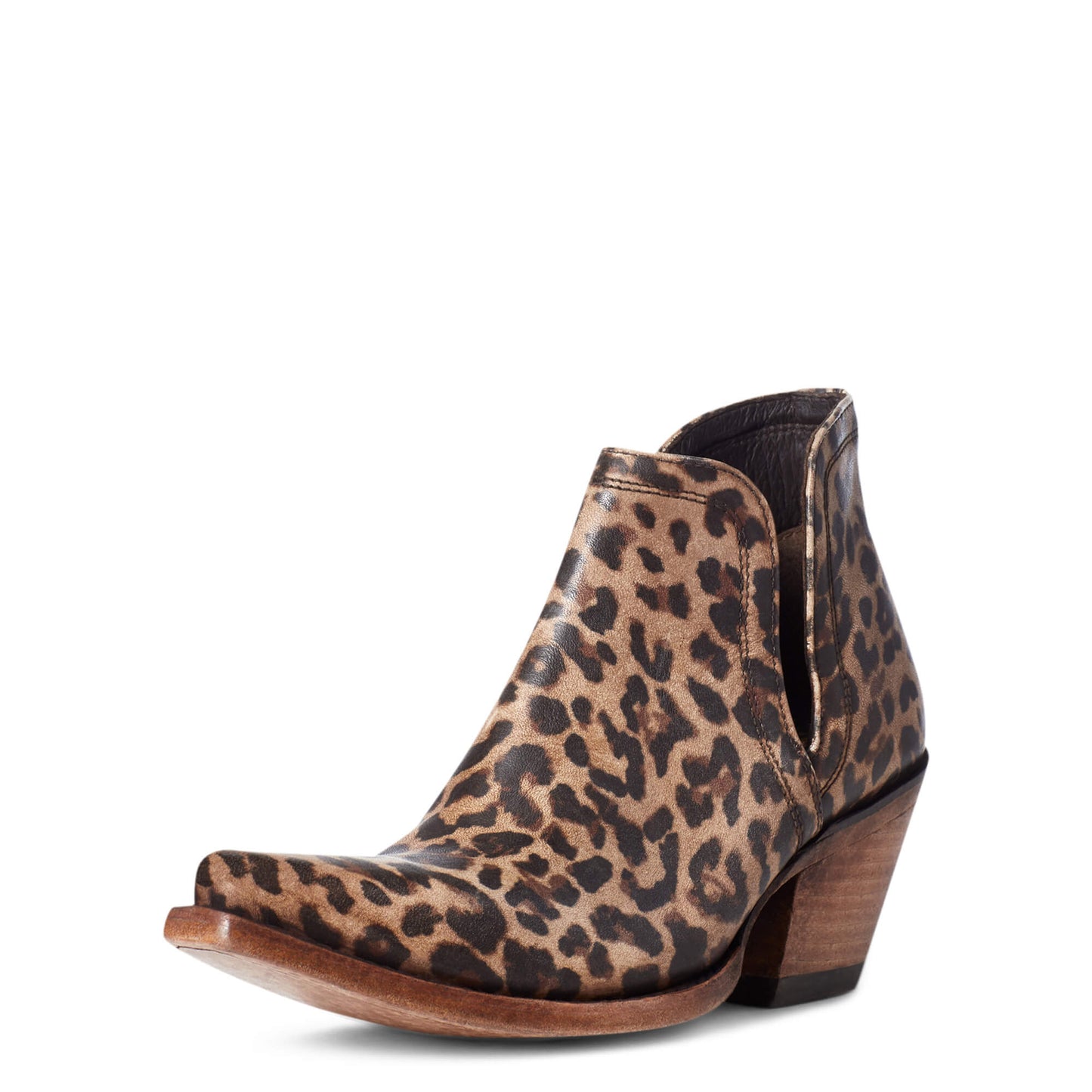 Ariat Women's Dixon Boot