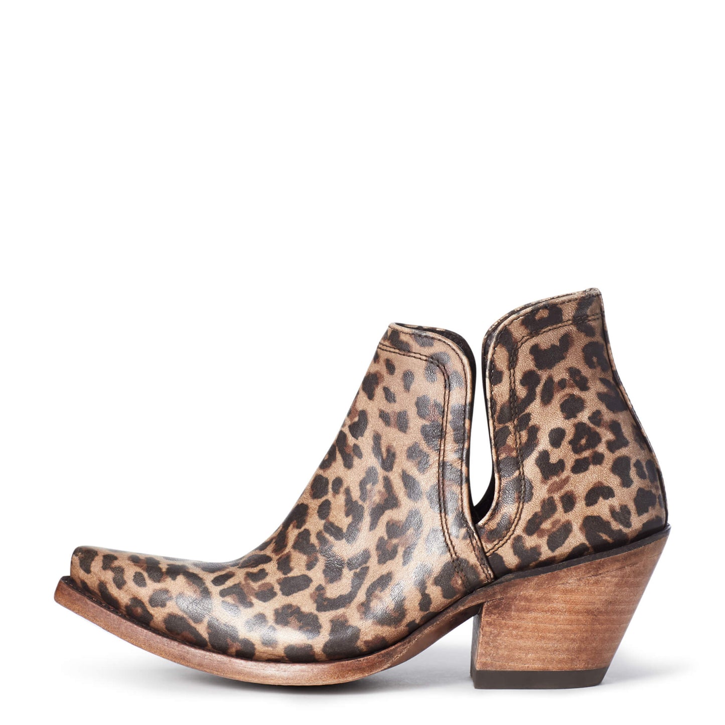 Ariat Women's Dixon Boot