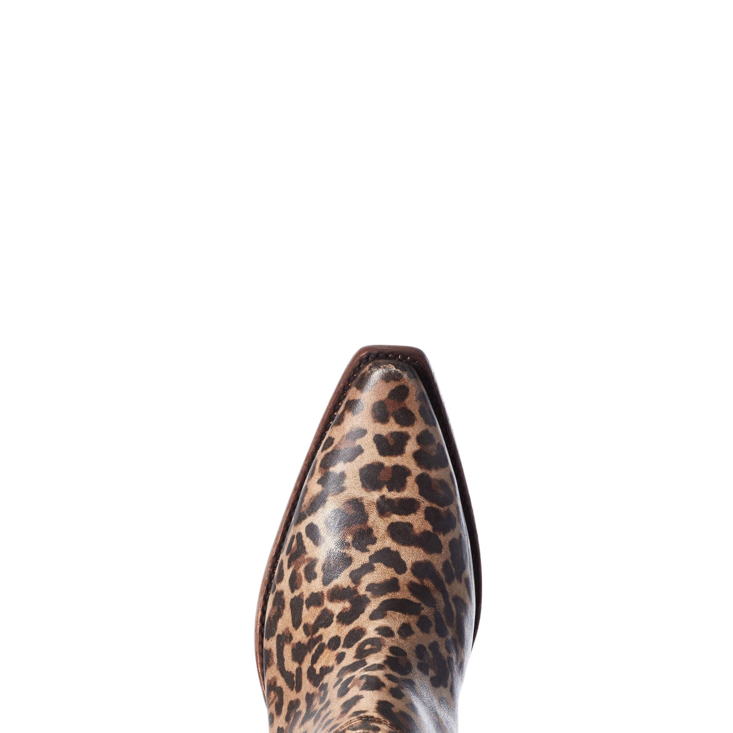 Ariat Women's Dixon Boot