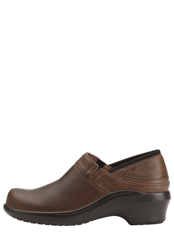 ARIAT Women’s Santa Cruz” Clog”
