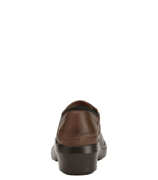 ARIAT Women’s Santa Cruz” Clog”