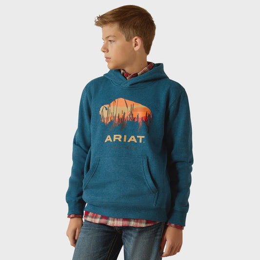Ariat Boys Bison Plains Hoodie in Hydra Heather