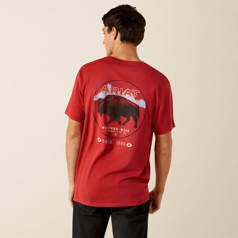 Ariat Mens Patriot Buffalo Coin SS Tee
