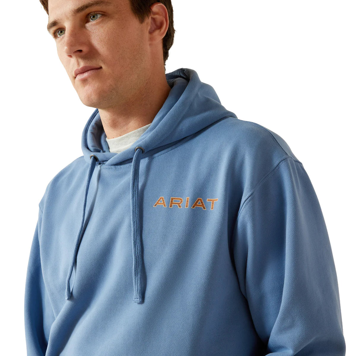 Ariat Mens Sun Valley Circle Hoodie in Coronet Blue